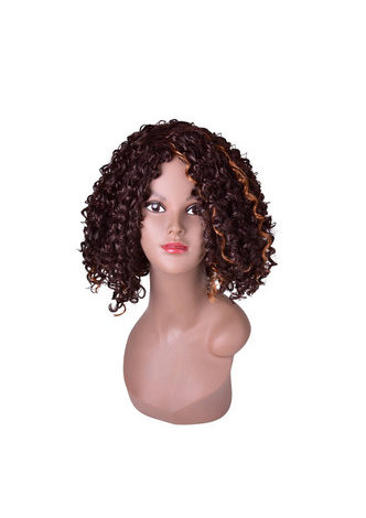 HairYouGo 13inch Ombre Brown Afro Kinky Curly <em>Hair</em> Medium Length <em>Synthetic</em> <em>Wigs</em> for Black Women
